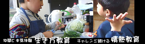 キャリアの木
